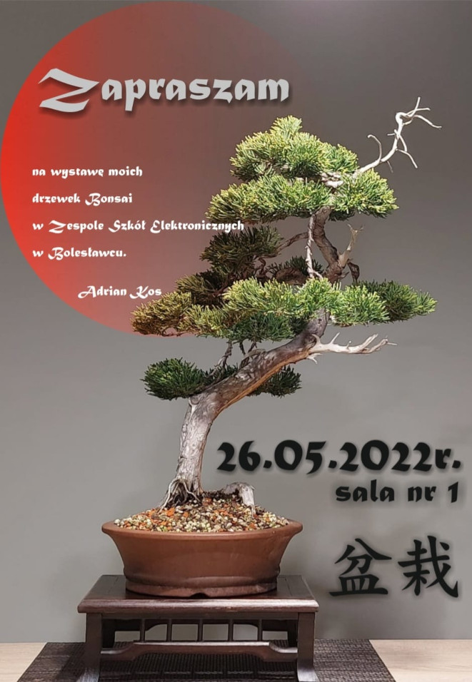 2022-05-wystawa-bonsai